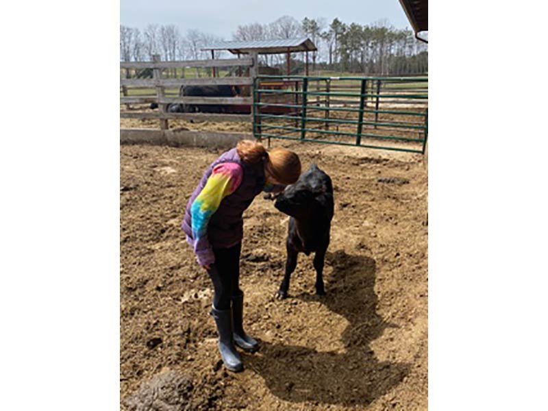 Girl with Cow