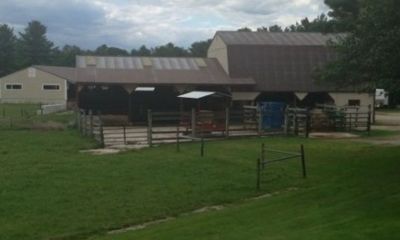 Our Farm
