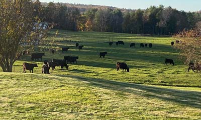 Farm